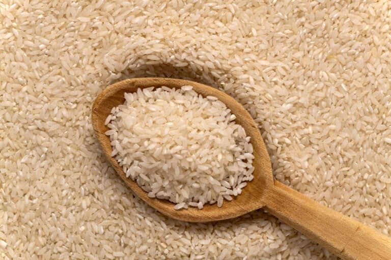 Carolina plantation rice texture background and wooden spoon, closeup. South Carolina golden rice.