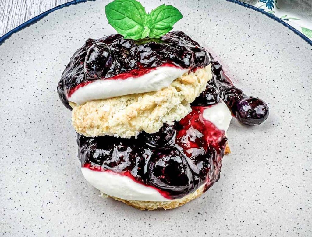 Plate of blueberry shortcake  topped with fresh blueberries and whipped cream.