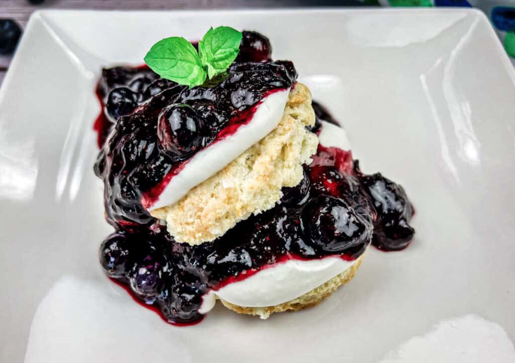 A blueberry shortcake topped with whipped cream and fresh blueberries, garnished with a mint leaf.