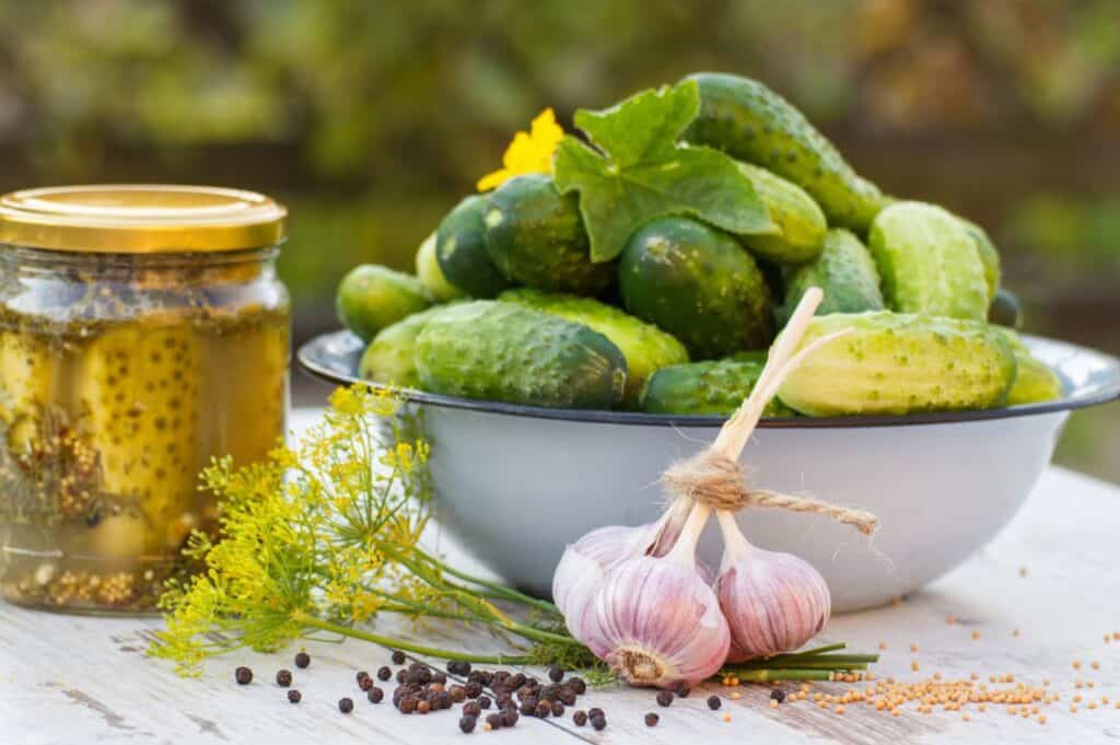 Cucumbers in metal bowl, spices for pickling and jar pickled cucumbers on table.