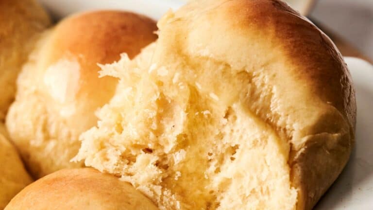 Dinner Rolls
