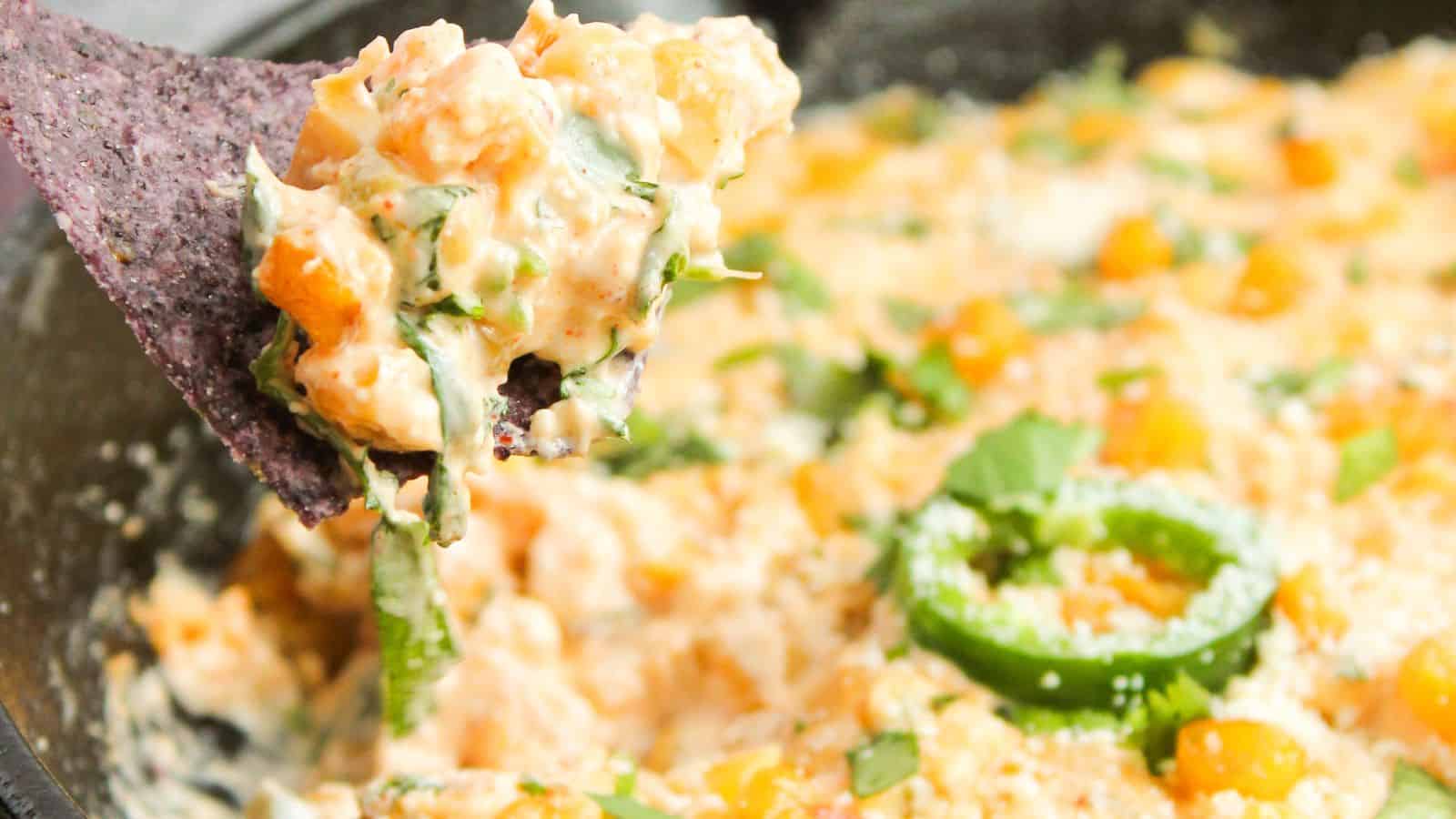 Close-up of a blue corn chip dipped in a creamy cheese and vegetable mixture, garnished with cilantro and sliced jalapeños.