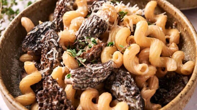 A bowl of cavatappi pasta with morel mushrooms, garnished with grated cheese and fresh herbs.