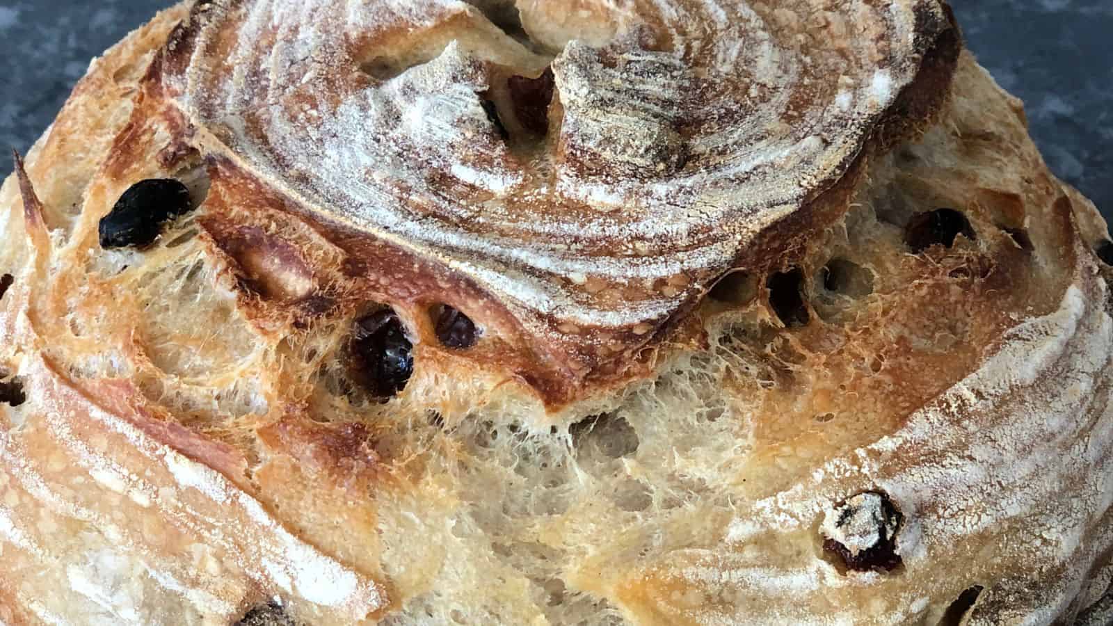 Close-up of a freshly baked round loaf of bread with a crusty, flour-dusted top and visible raisins.