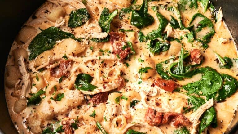 Creamy pasta dish with shredded chicken, spinach, sun-dried tomatoes, and spices in a rich, seasoned sauce.