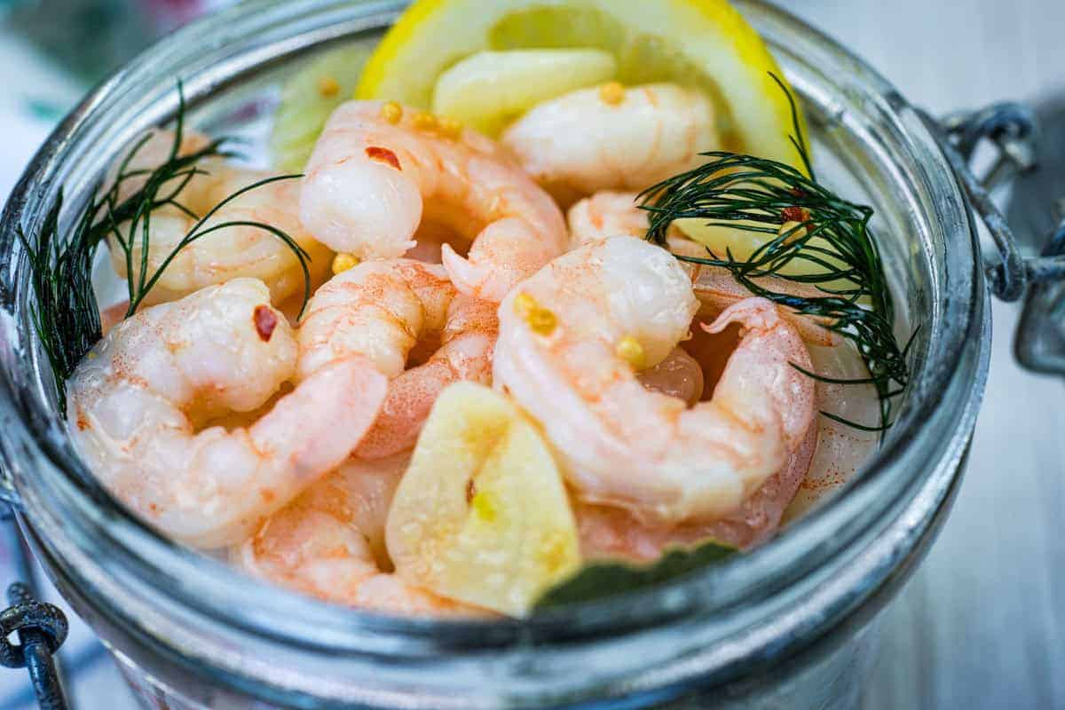 Close-up Southern Style Pickled Shrimp with lemon slices and dill on a jar.