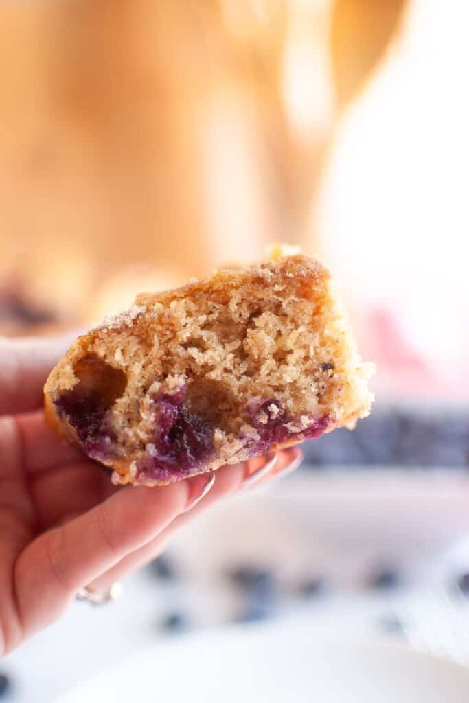 A close-up of a hand holding a piece of Blueberry Boy Bait, a soft, golden-brown coffee cake with a tender crumb and juicy blueberries baked inside, dusted with cinnamon sugar.