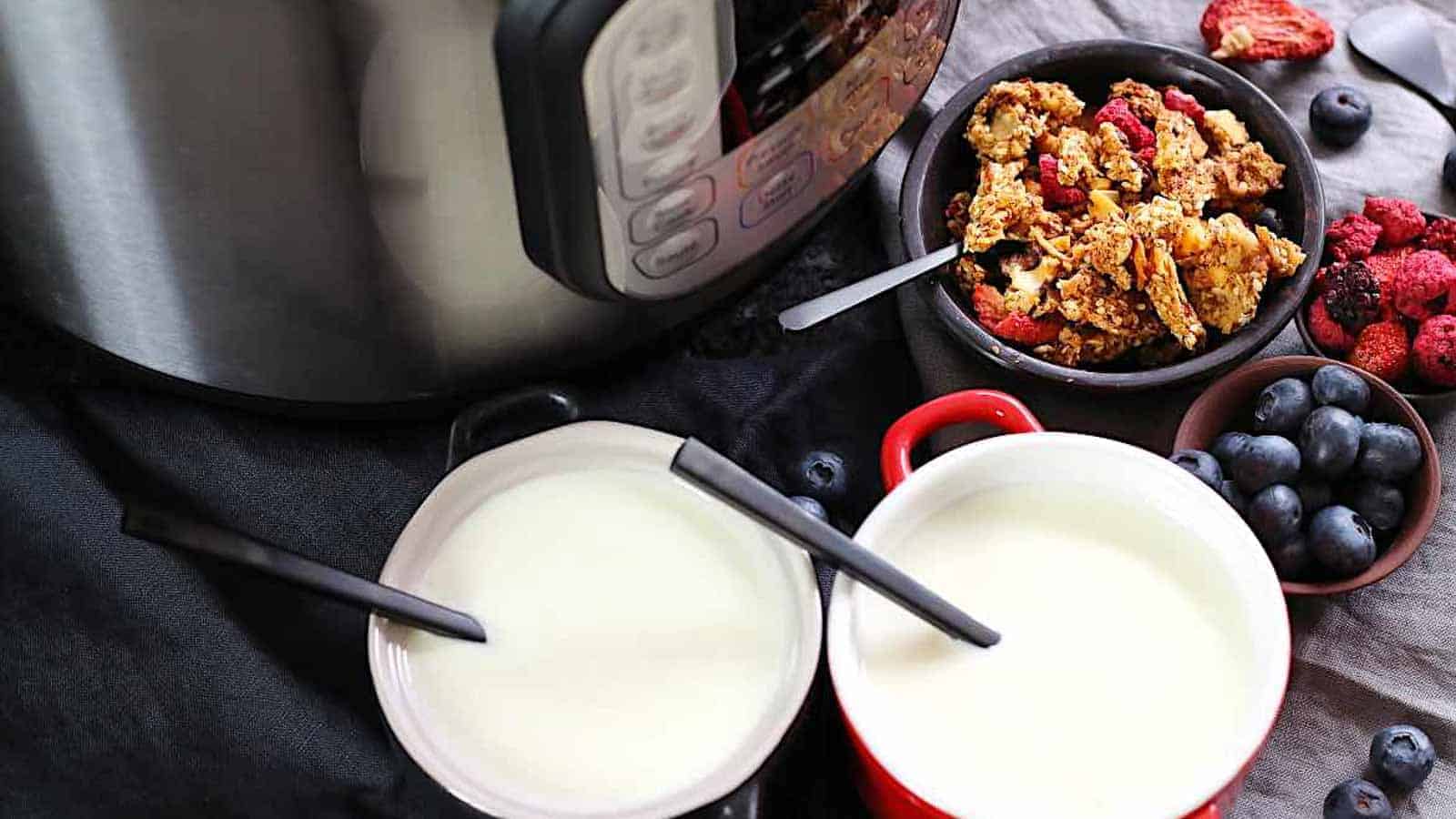 Yogurt inside bowls with instant pot behind.