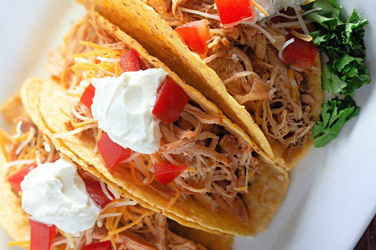 Three hard shell tacos filled with shredded slow-cooked chicken, cheese, diced tomatoes, and topped with sour cream, served on a white plate with a garnish of fresh parsley.
